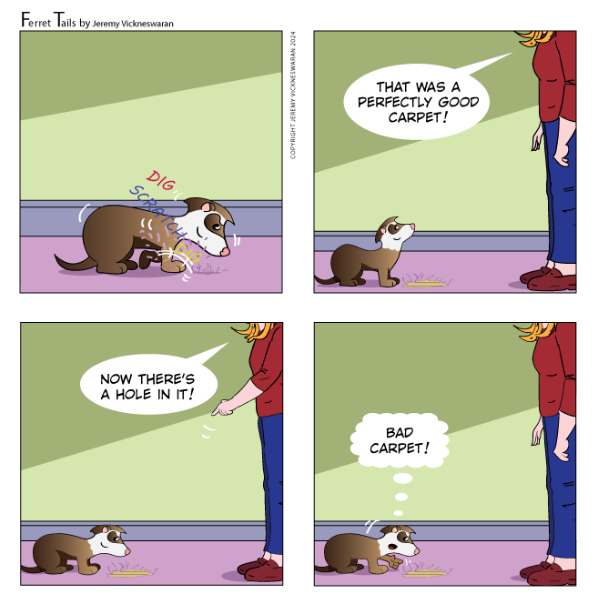 ferret tails February Week 1 cartoon 2023 