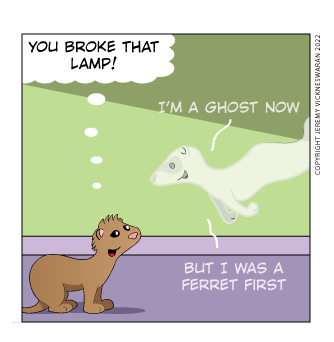 ferret tails bonus panel