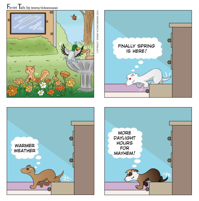 ferret tails March Week 4cartoon 2024 
