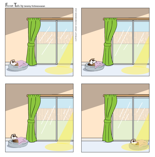 ferret tails April Week 1