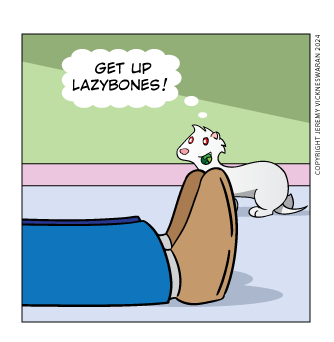 ferret tails bonus panel