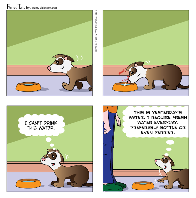 ferret tails August Week 1 cartoon 2025 