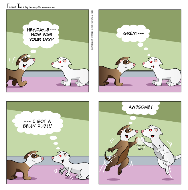 ferret tails August Week 3