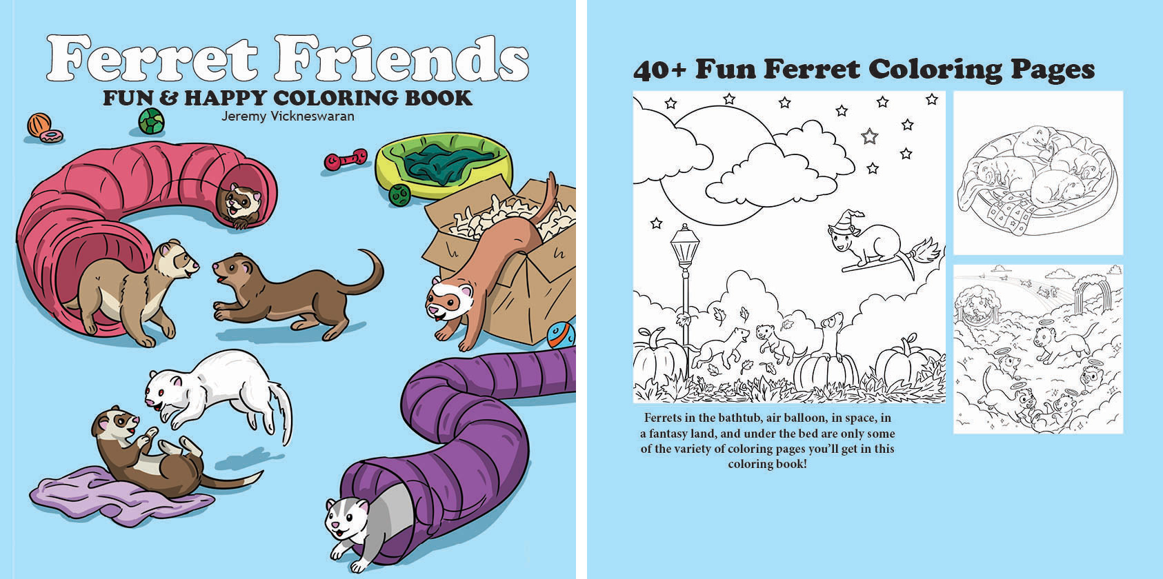 ferret coloring book