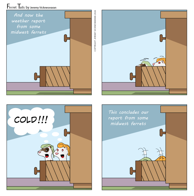 ferret tails January Week 4 