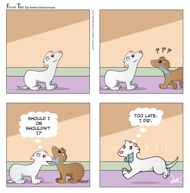 ferret tails June Week 1