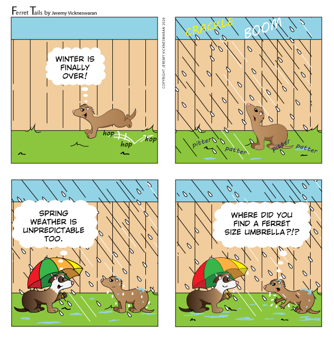 ferret tails March Week 4