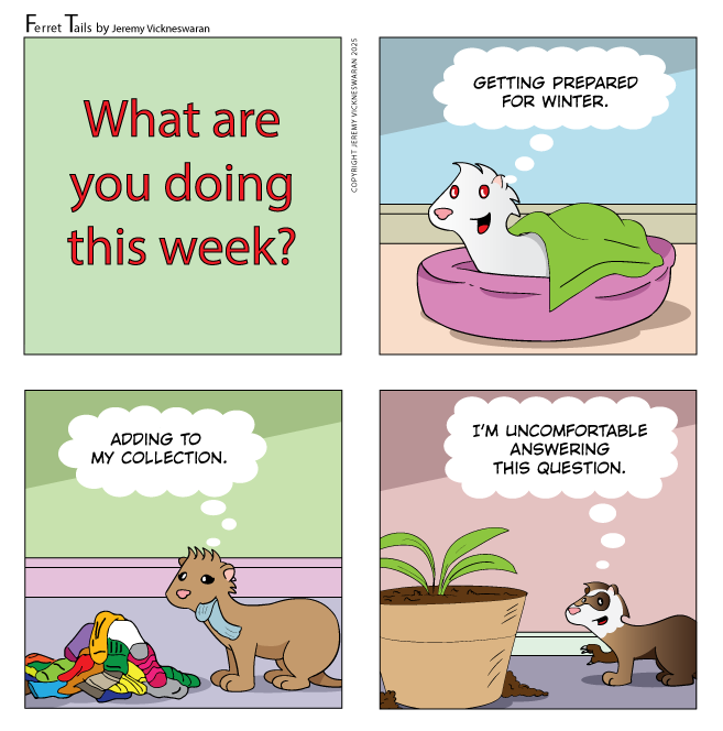 ferret tails November Week 1 2025 