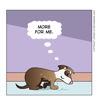 ferret tails bonus panel