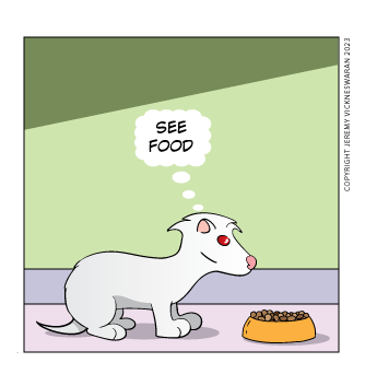 ferret tails bonus panel