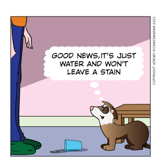 ferret tails bonus panel