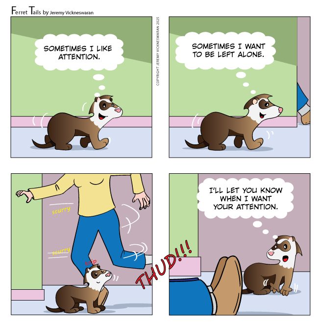 ferret tails September Week 4 cartoon 2025 