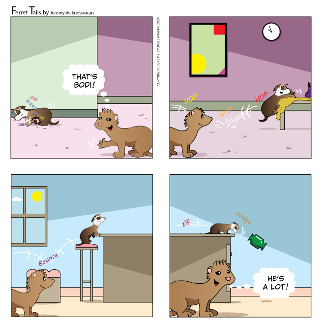 ferret tails October Week 2 2025 