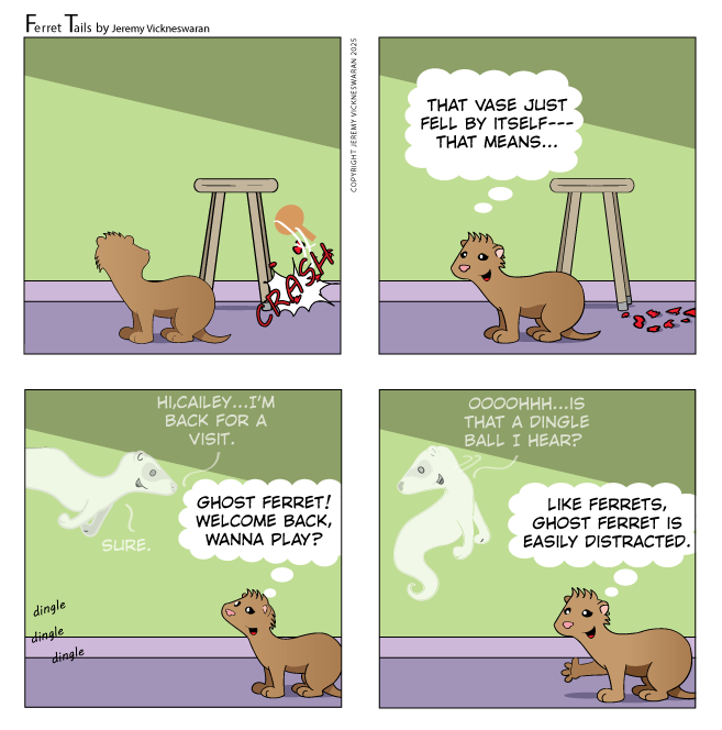 ferret tails October Week 4 2025 