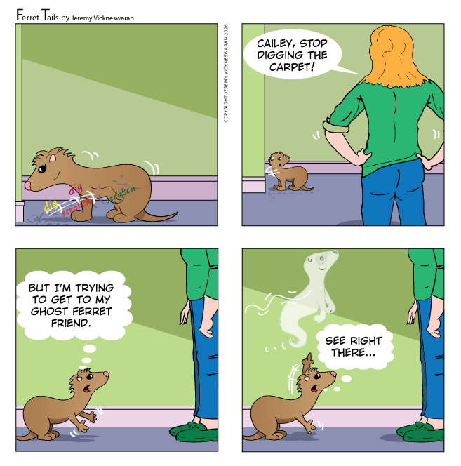 ferret tails October Week 5